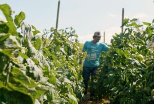 Homem do campo-Kennedy
