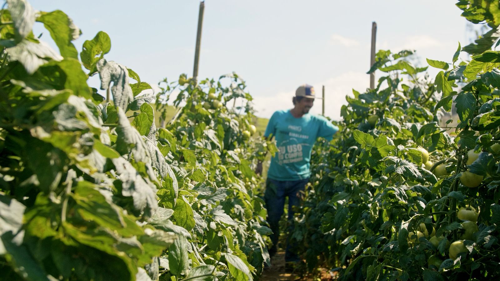 Homem do campo-Kennedy