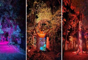 Wonder Park Foz inaugura nova atração 