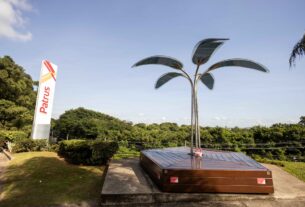 Patrus Transportes: ESG conecta negócios e meio ambiente