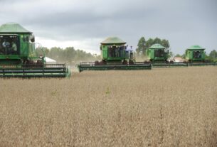 Crescimento de Goiás supera o da média nacional