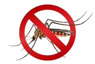 Ministério da Saúde reforça combate à dengue em São Paulo