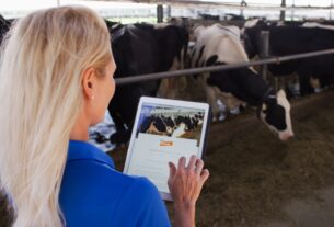 Elanco cresce pelo sexto trimestre consecutivo em 2024