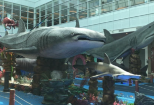 Exposições temáticas podem ser formas de aprender e se divertir