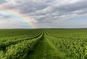 Agrolend reestrutura diretoria para focar em crescimento