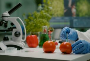 Nutrigenética avança em protocolos de prevenção e tratamento