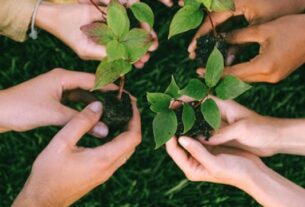 Dia Nacional da Mata Atlântica é comemorado em 27 de maio