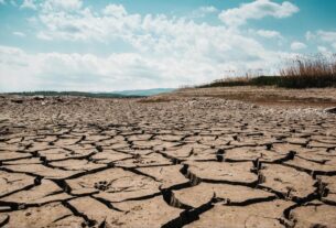 Seca no Norte exige estratégias logísticas para evitar problemas no transporte