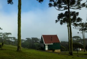 Receita Federal moderniza declaração do imposto rural em 2025