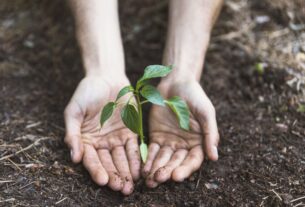 Projeto Viver Territórios promove workshops gratuitos