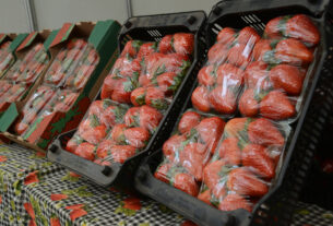 Festa de Flores e Morangos de Atibaia celebra sua 43ª edição