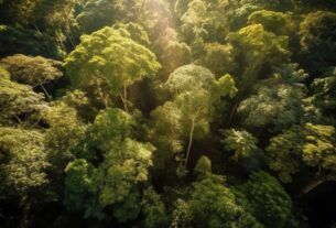 Belém sedia seminário sobre turismo regenerativo na Amazônia