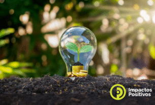 Encontro Impactos Positivos 2025 terá foco em energia