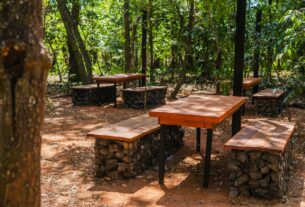 Uberlândia ganha primeiro parque dentro de floresta preservada