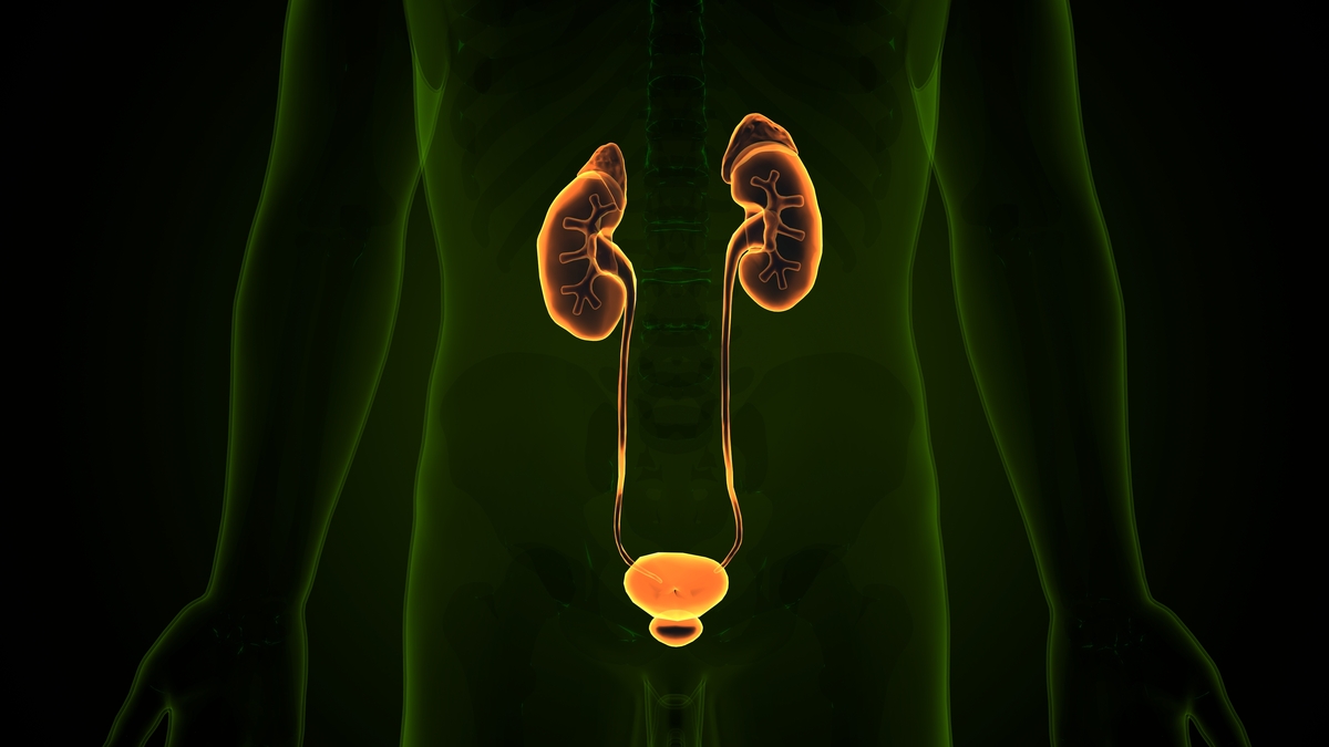 Tecnologia transforma tratamentos na urologia moderna