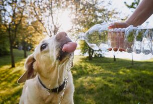 Nutricionista explica por que o corpo precisa de mais água no tempo seco