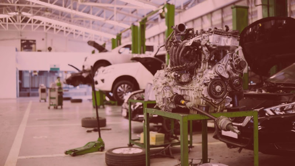 Bradesco seguros lidera projeto que fortalece a sustentabilidade no setor