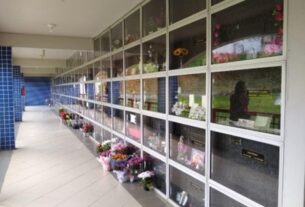 Setor funerário inova, cresce e tem foco sustentável