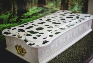 Especialistas reforçam acolhimento no luto por pets