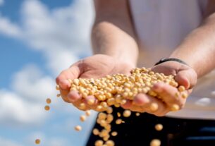 Fiagros ganham novo impulso com marco regulatório