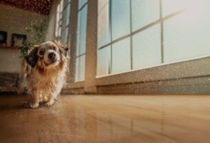 Pisos laminados Eucafloor agora têm resistência total à água