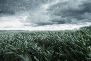 La Niña altera regime de chuvas e exige manejo no agro