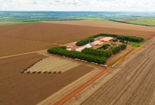 Grupo Bom Jesus implementa novas práticas de governança