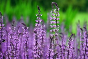 Giuliana Flores inaugura nova loja no Jardim Marajoara, em São Paulo