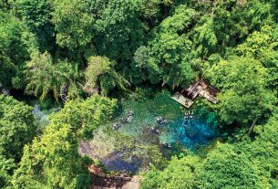 Nascente Azul é o atrativo mais visitado de Bonito (MS)