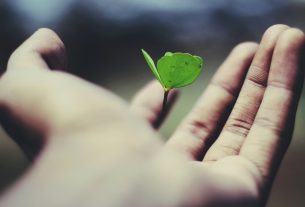 Solera recebe prêmio por tecnologia climática no reparo