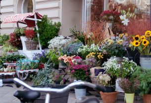 Giuliana Flores prevê mais de 50 novas franquias em 2026