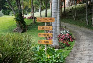 Enoturismo amplia concorrência e exige diferenciação