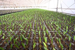 Iniciativas de empresas impulsionam gestão hídrica no Brasil