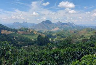 Espírito Santo ganha rota especial que valoriza a cultura cafeeira do Caparaó