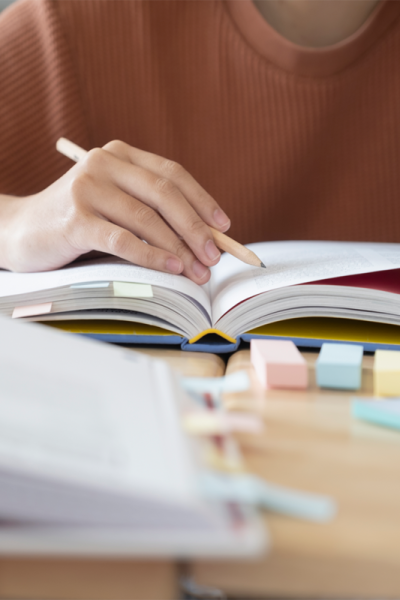 Amazonas amplia políticas e beneficia 60 mil servidores