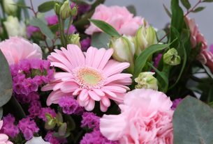 Emoção desafia previsões e redefine demanda no varejo